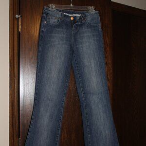 Lightly Distressed Vanity Blue Jeans, Size 28 x 33